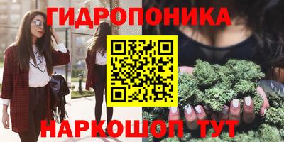прущие грибы Ирбит