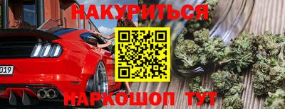 прущие грибы Ирбит
